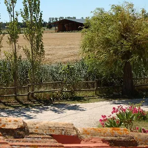 Des Plaines Arles